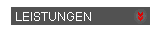 Leistungen
